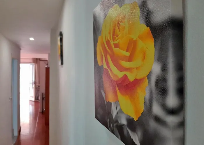 Apartment Relax Les Palmeres